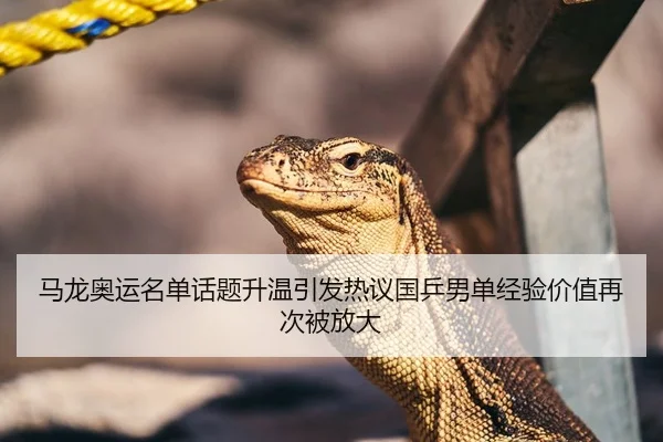 马龙奥运名单话题升温引发热议国乒男单经验价值再次被放大