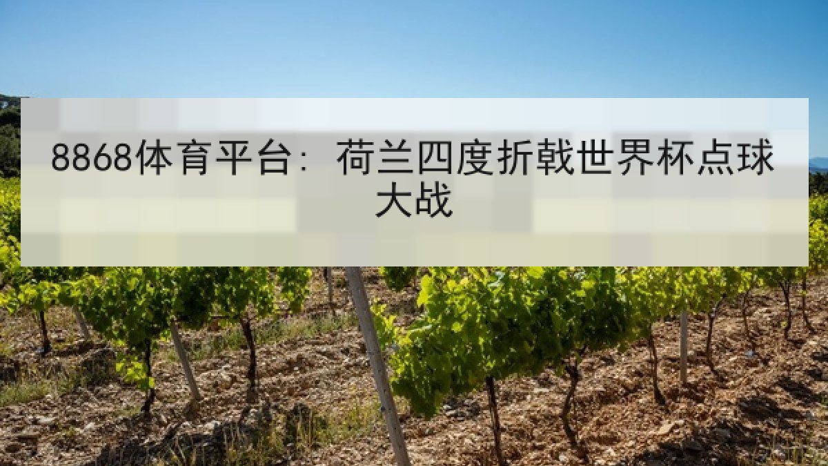 8868体育平台: 荷兰四度折戟世界杯点球大战