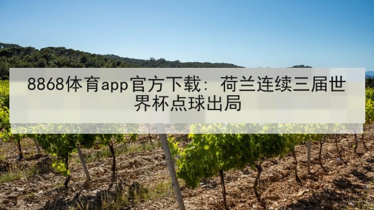 8868体育app官方下载: 荷兰连续三届世界杯点球出局