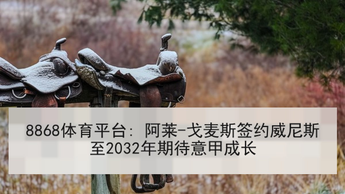 8868体育平台: 阿莱-戈麦斯签约威尼斯至2032年期待意甲成长