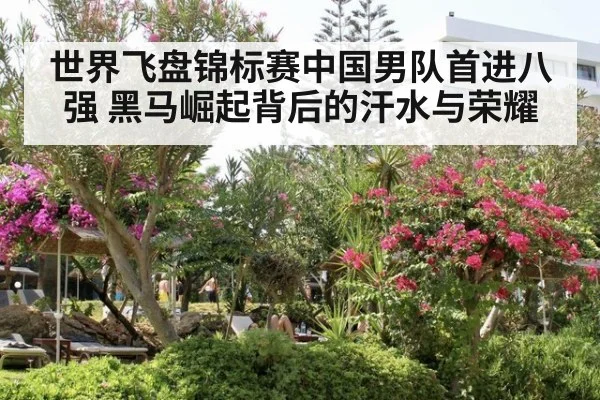 世界飞盘锦标赛中国男队首进八强 黑马崛起背后的汗水与荣耀