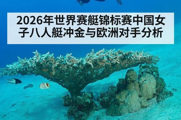 2026年世界赛艇锦标赛中国女子八人艇冲金与欧洲对手分析